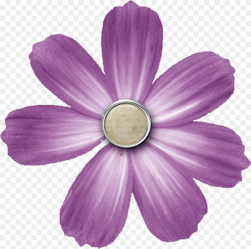 Transparent Purple Flower Scrapbook Flower, Anemone, Anther, Daisy, Petal Png Image