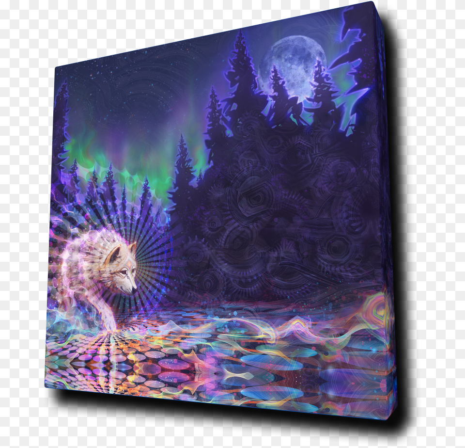 Transparent Purple Wolf Simon Haiduk Art, Pattern, Accessories, Flower, Plant Free Png