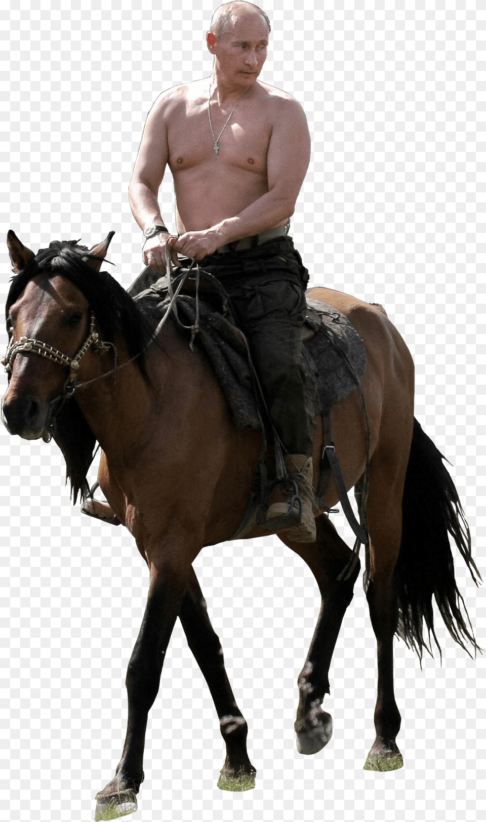 Putin Riding Putin On Horse No Background, Adult, Man, Male, Person Free Transparent Png