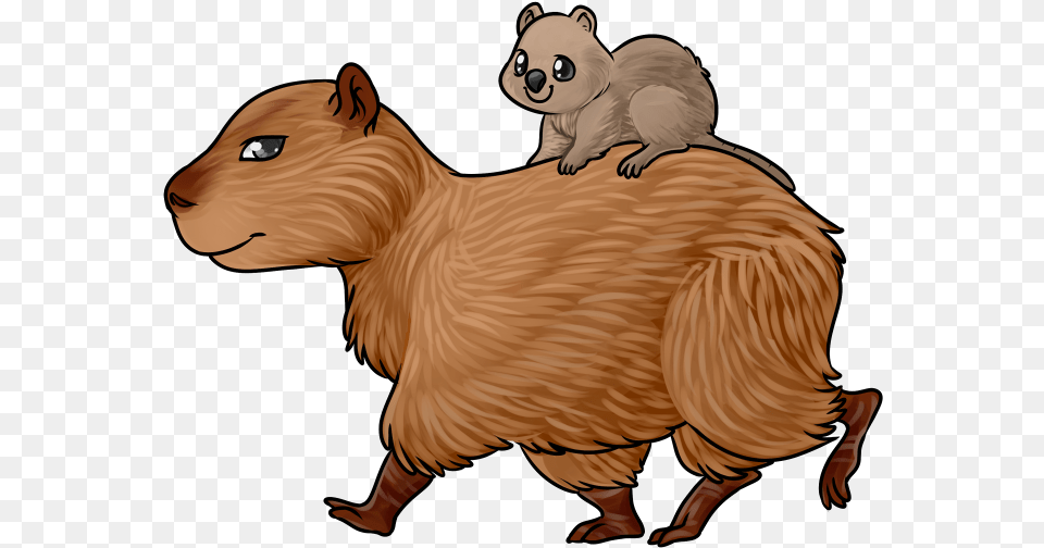 Transparent Quokka Capybara Easy To Draw, Animal, Mammal, Pig, Livestock Free Png