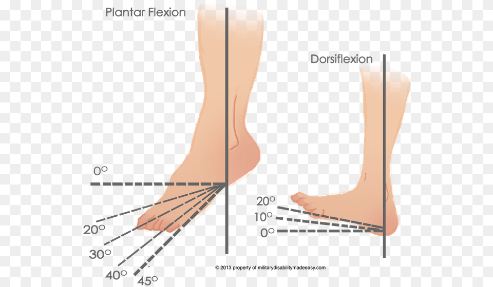 Transparent Quote Pngm Ankle Range Of Movement, Body Part, Chart, Person, Plot Png