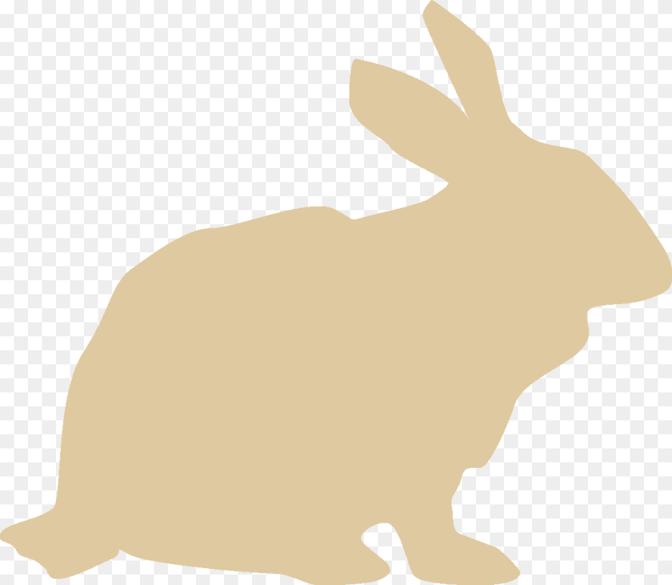 Transparent Rabbit Icon Domestic Rabbit, Animal, Hare, Mammal, Rodent Free Png