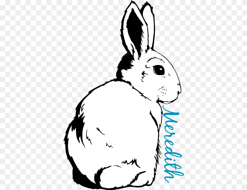 Transparent Rabbit Outline Domestic Rabbit, Baby, Person, Animal, Hare Png