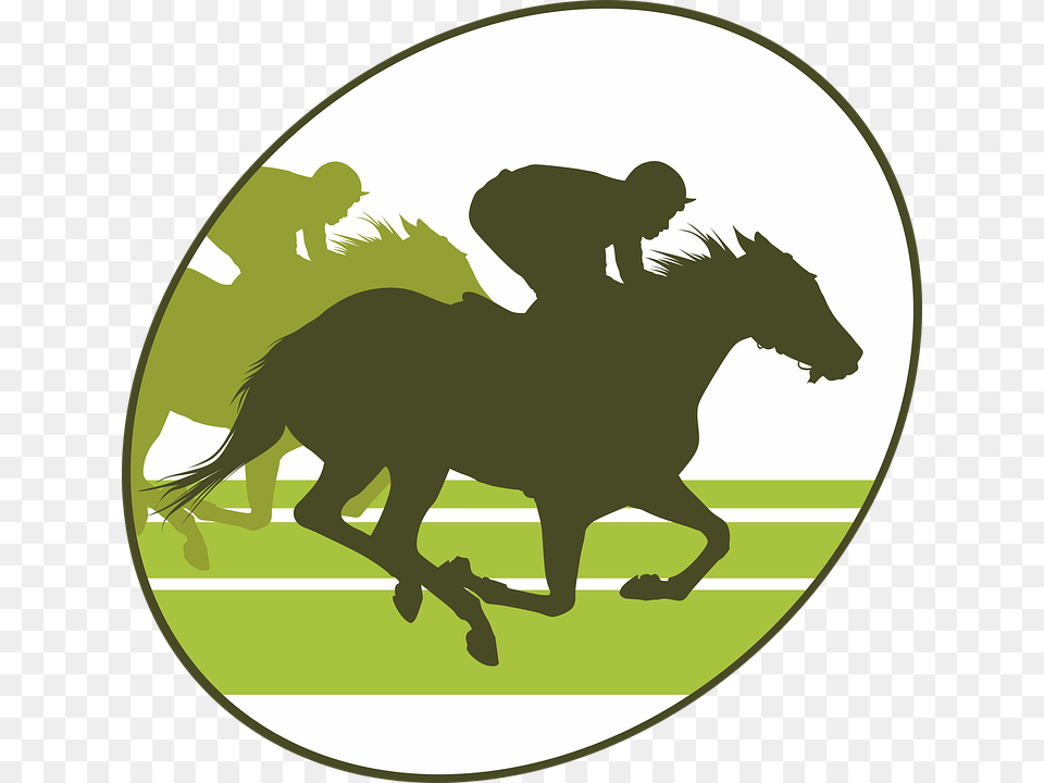 Transparent Race Horse, Adult, Person, Man, Male Png
