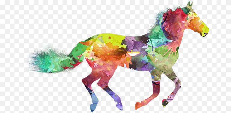 Transparent Race Horse Race Horse Water Color, Animal, Mammal, Person Png Image