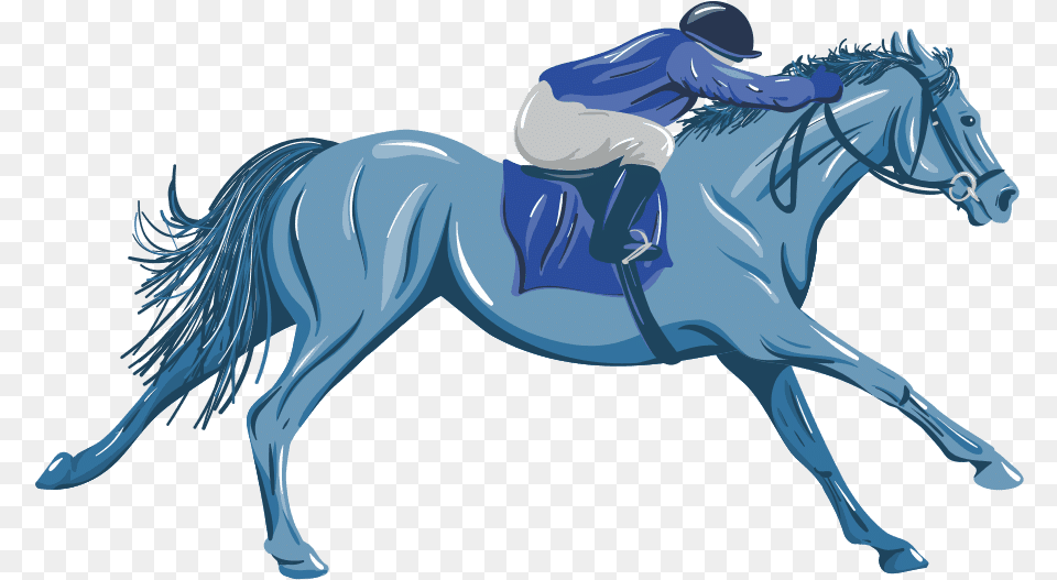 Transparent Race Horse Stallion, Adult, Female, Person, Woman Free Png Download
