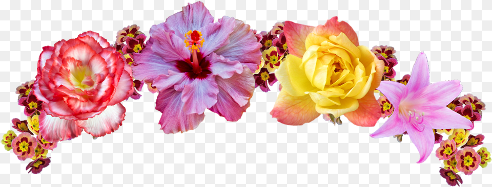 Transparent Rainbow Flower Crown Corona De Flores Dibujo, Petal, Plant, Flower Arrangement, Rose Free Png Download