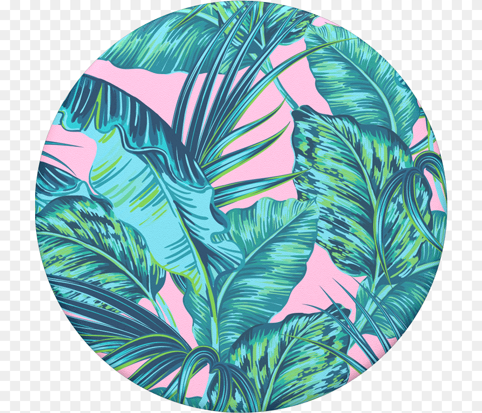Transparent Rainbow Strip Miami Strip Popsockets, Leaf, Plant, Art, Turquoise Free Png