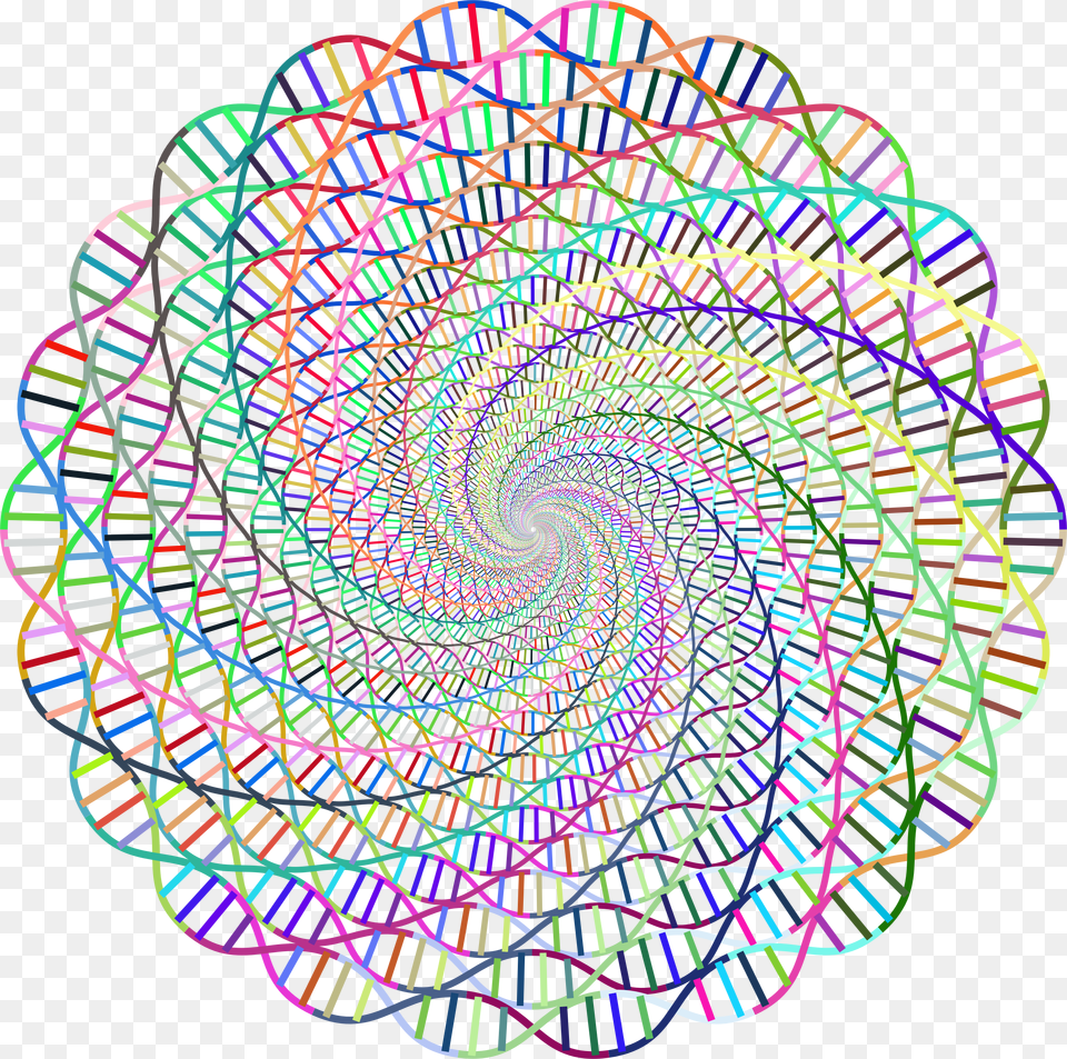 Transparent Rainbow Vector Deoxyribonucleic Acid, Pattern, Spiral, Accessories, Coil Free Png