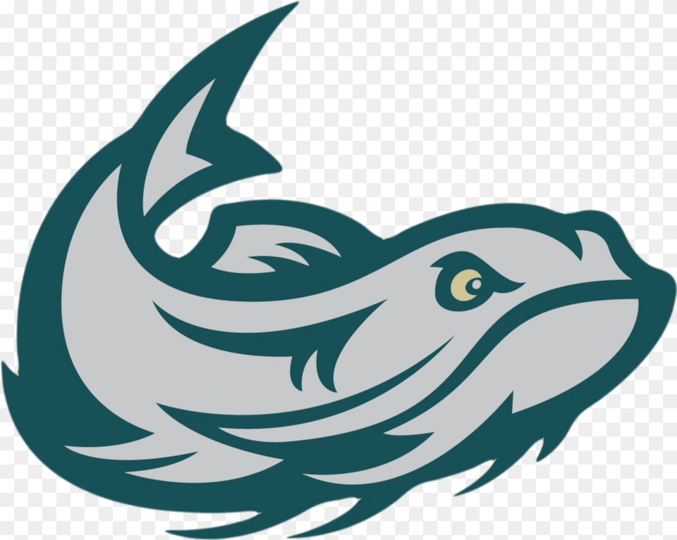 Transparent Raising Cane S Logo Mississippi Mudcats Logo, Animal, Fish, Sea Life, Shark Png Image