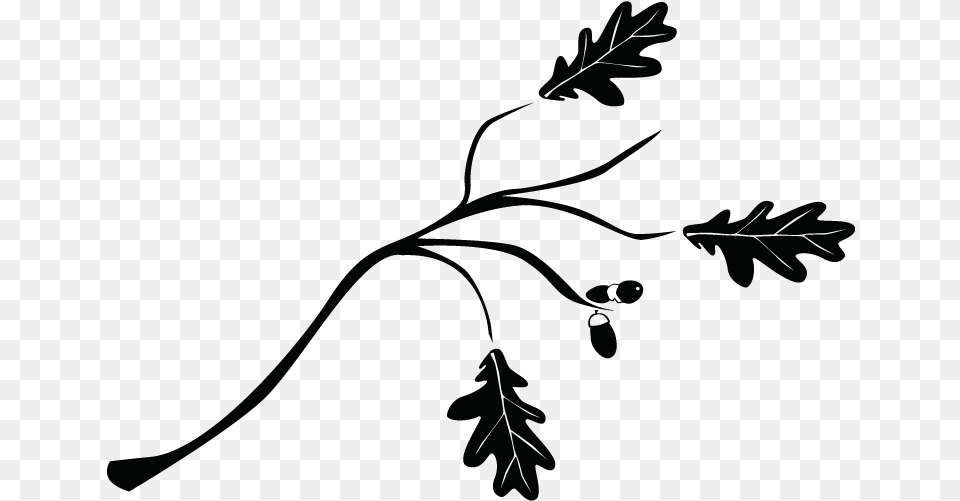 Transparent Ramas De Arbol Ramas En Dibujo En, Leaf, Plant, Art, Pattern Png