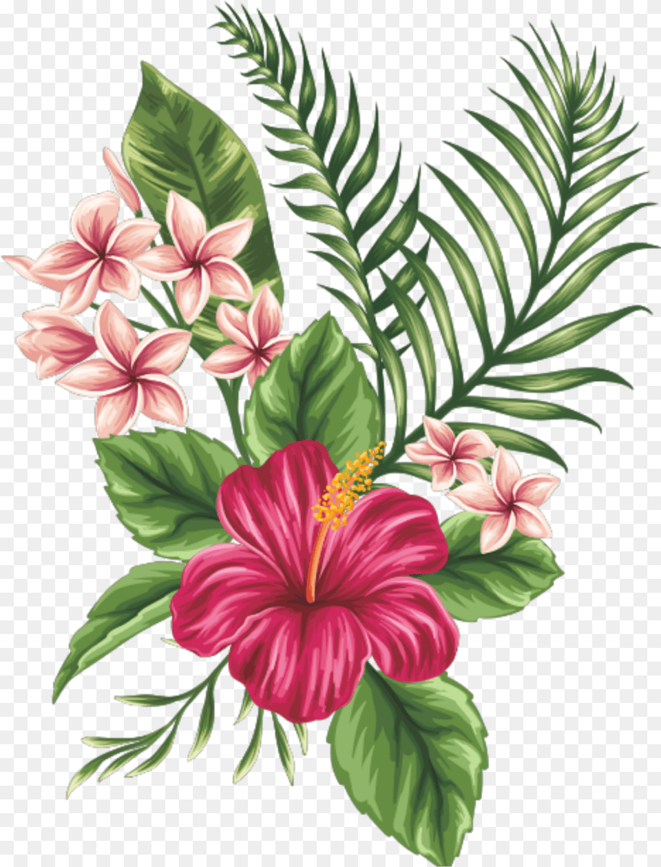 Transparent Ramas Flower Sketch Painting, Plant, Hibiscus, Pattern Png