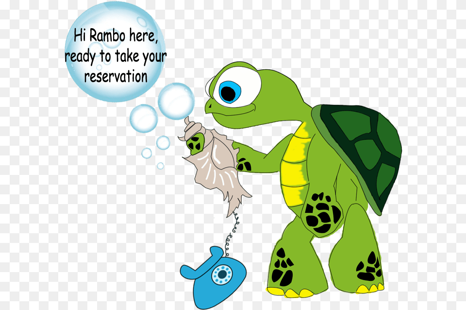 Transparent Rambo, Animal, Reptile, Sea Life, Tortoise Png Image