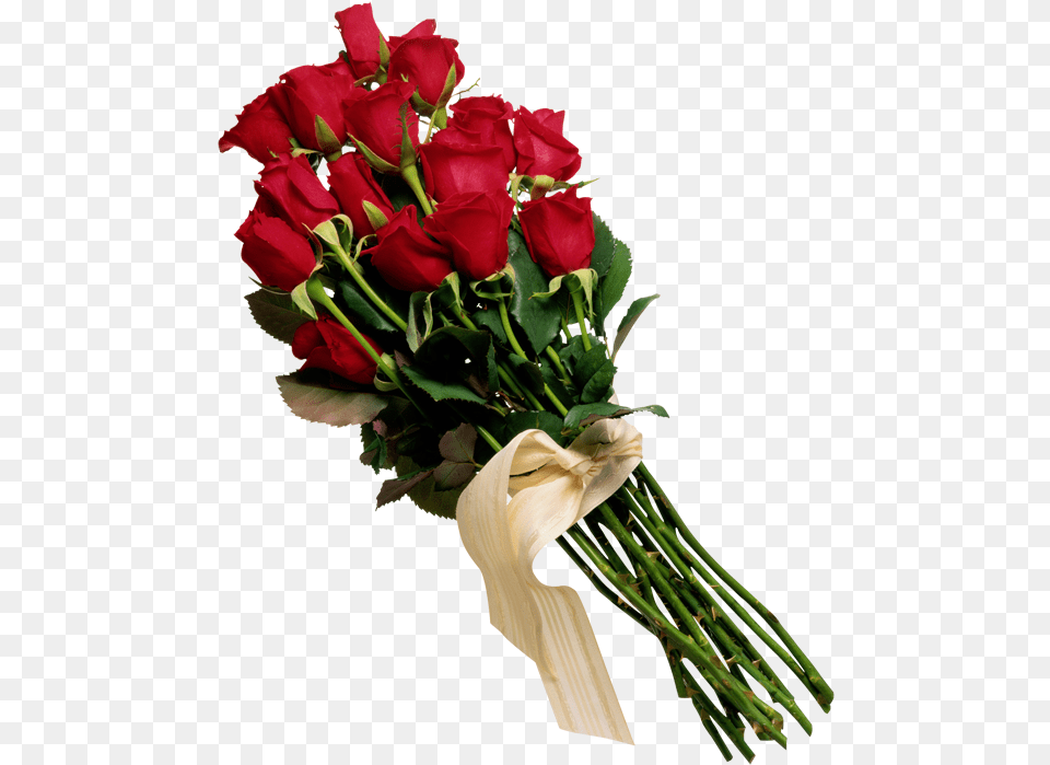 Ramo De Flores, Flower, Flower Arrangement, Flower Bouquet, Plant Free Transparent Png