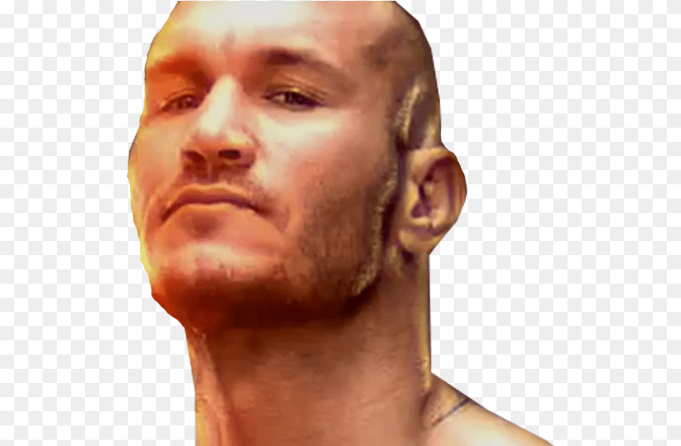 Transparent Randy Orton Randy Orton Face, Body Part, Head, Neck, Person Free Png Download