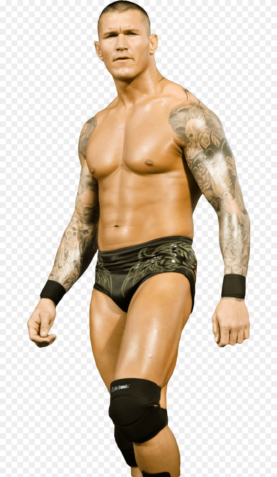 Transparent Randy Orton Rko Randy Orton Image Download, Tattoo, Back, Body Part, Skin Png