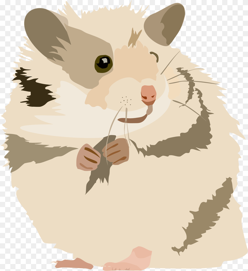 Rat Clipart Hamster Clipart, Animal, Mammal, Baby, Person Free Transparent Png