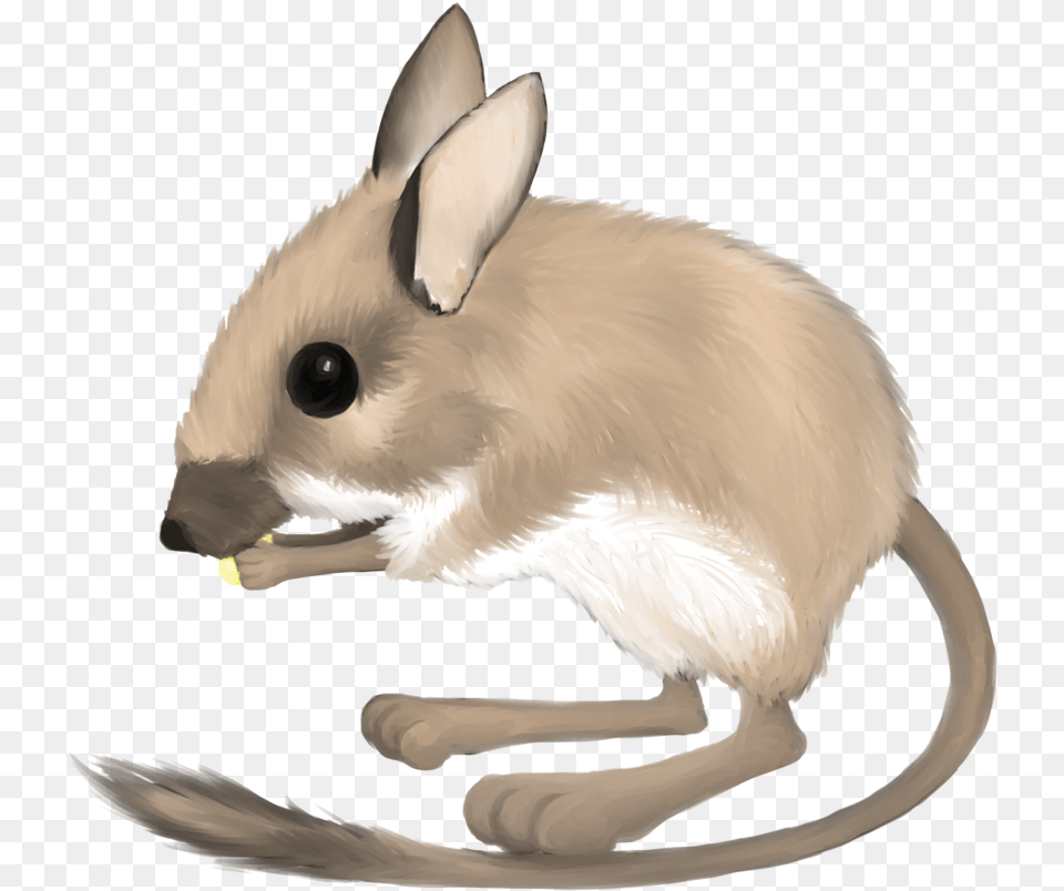 Rat Clipart Mouse, Animal, Bird, Mammal, Rodent Free Transparent Png