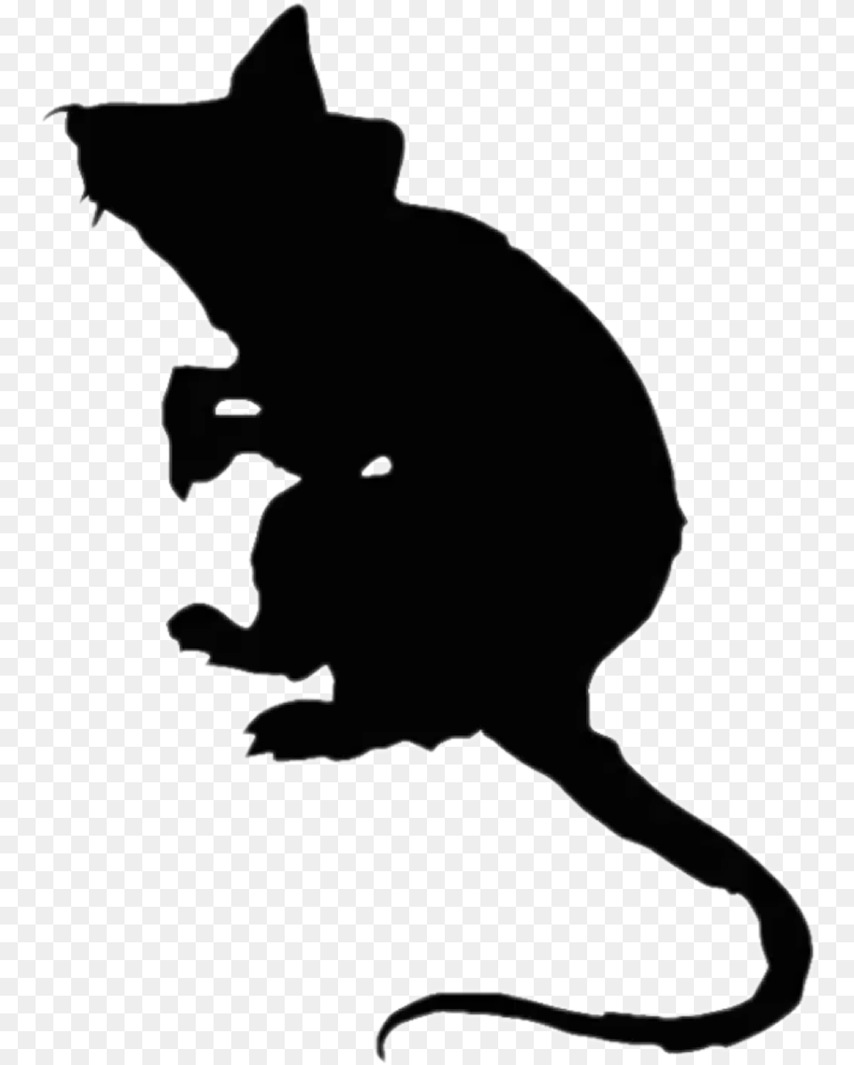 Transparent Rat Silhouette Rat Silhouette, Person, Animal, Mammal, Stencil Free Png