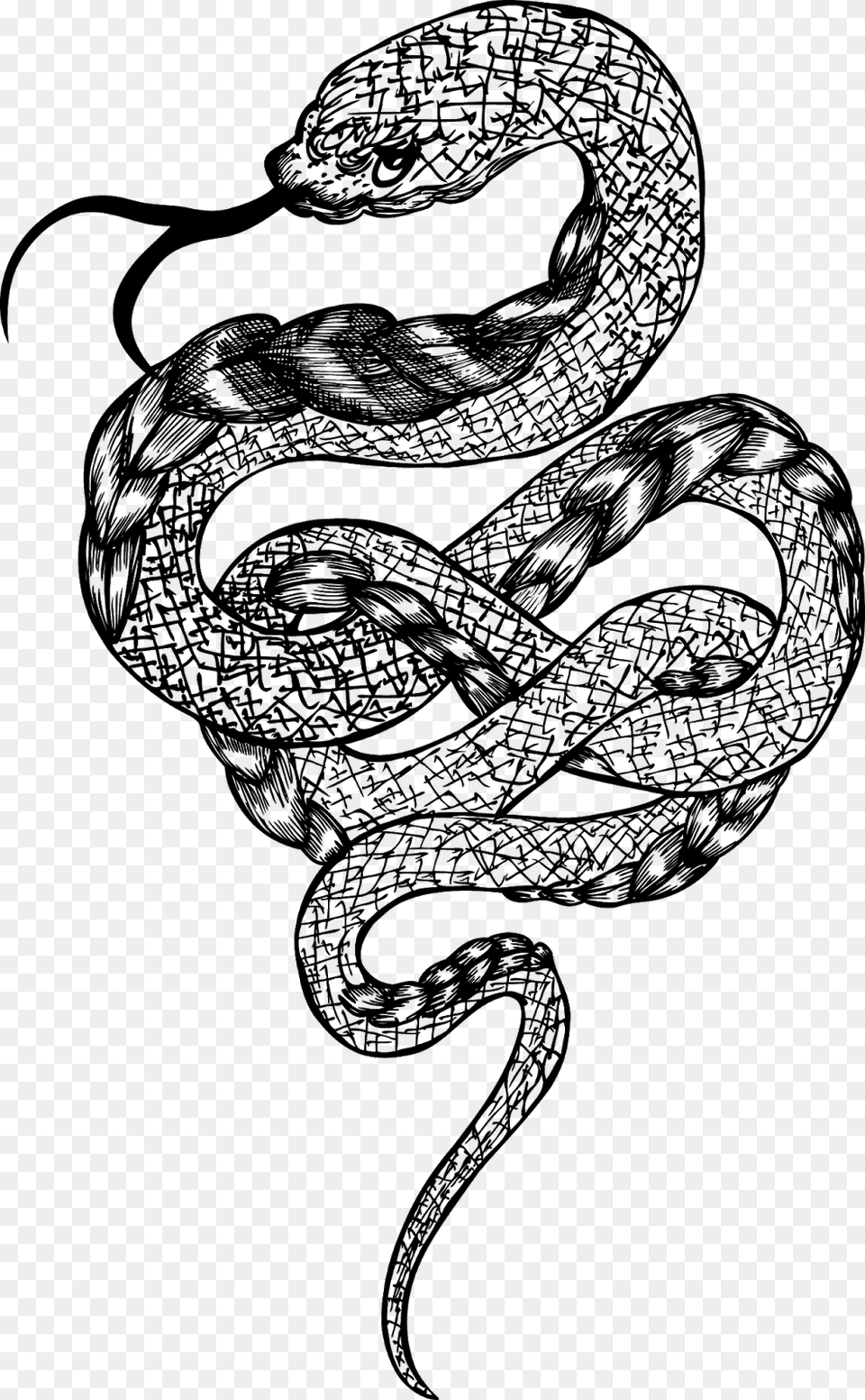 Transparent Rattlesnake Black Snake Vector, Gray Png Image