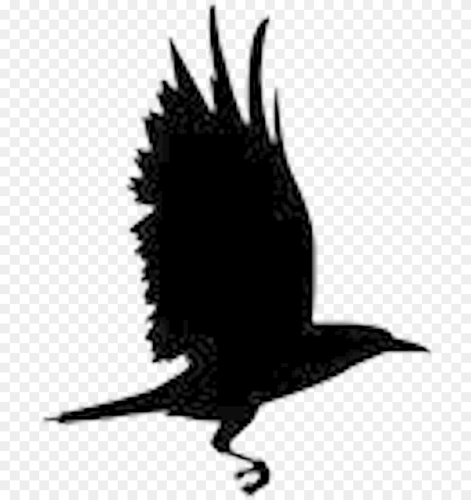 Transparent Raven Clipart Raven New Hope Logo, Animal, Bird, Blackbird, Flying Png