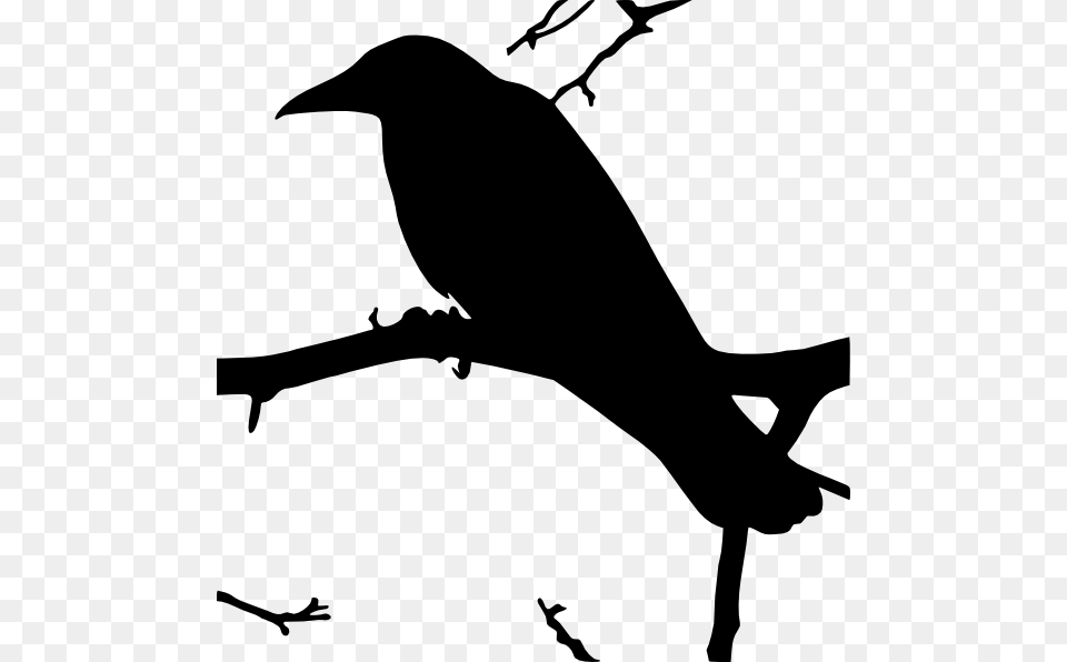 Transparent Raven Flying Raven Clip Art Svg, Silhouette, Animal, Bird, Blackbird Free Png Download