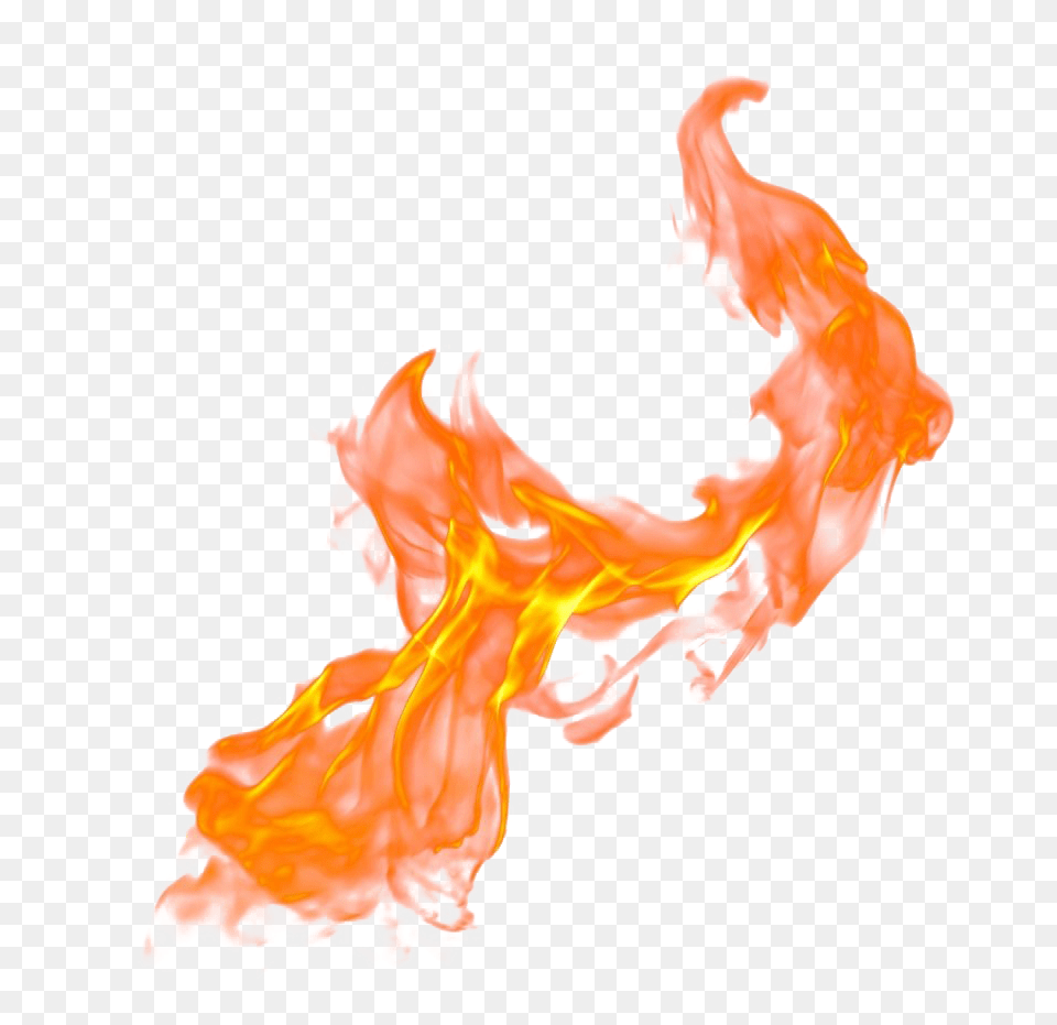 Realistic Fire, Flame, Adult, Bride, Female Free Transparent Png