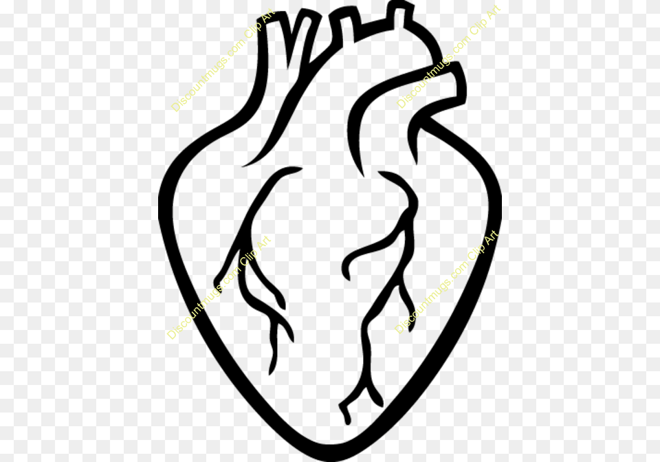 Realistic Heart Clipart Real Heart Shape Outline, Outdoors, Text, Nature Free Transparent Png