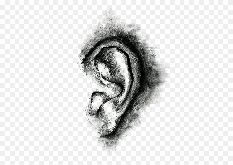 Realistic Scar Sketch, Body Part, Ear, Person Free Transparent Png
