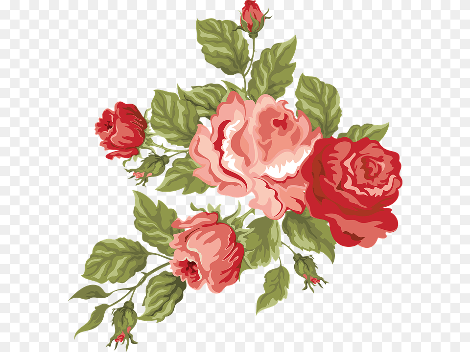 Transparent Red Flowers, Flower, Pattern, Plant, Rose Free Png Download