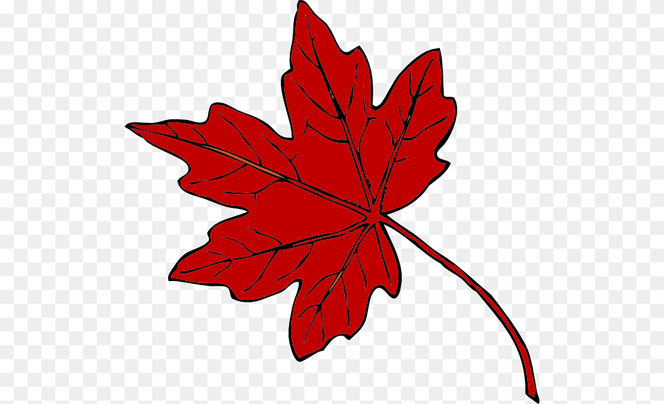 Red Leaf Green Maple Leaf Clipart, Maple Leaf, Plant, Tree, Dynamite Free Transparent Png