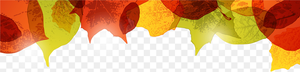 Transparent Red Leaves, Leaf, Plant, Tree, Maple Png Image