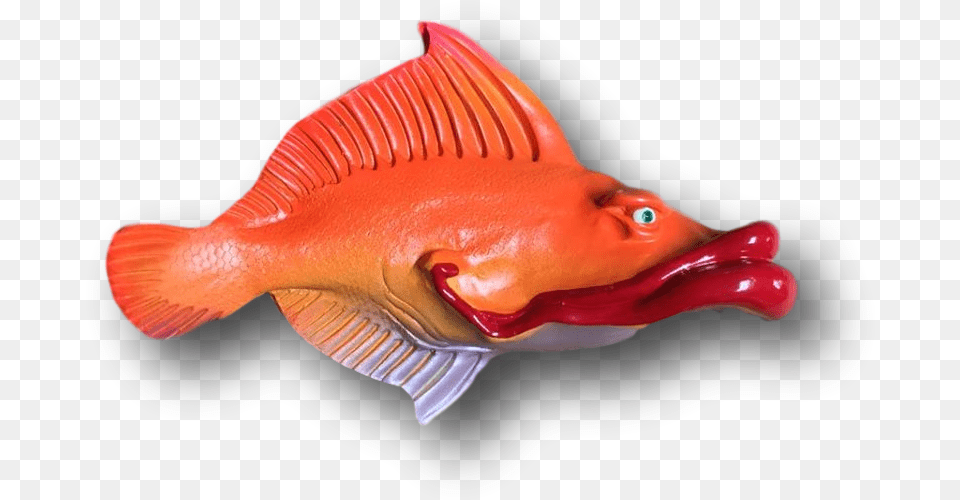 Transparent Red Lips Snapper, Animal, Fish, Sea Life Png