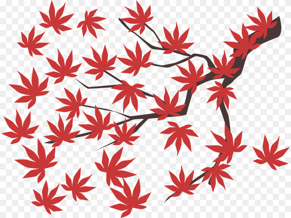 Transparent Red Maple Leaf Clipart Daun Maple, Plant, Tree, Pattern Free Png Download