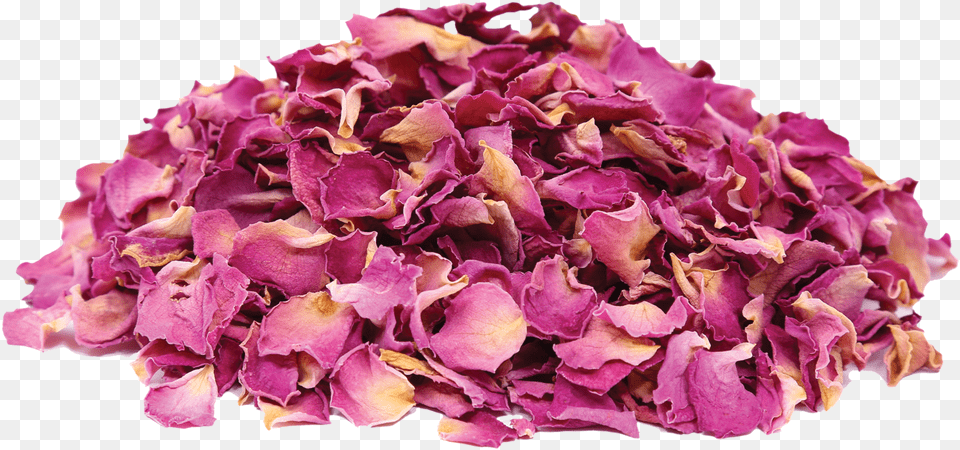 Transparent Red Petals Dried Rose Petals, Flower, Petal, Plant, Flower Arrangement Free Png Download