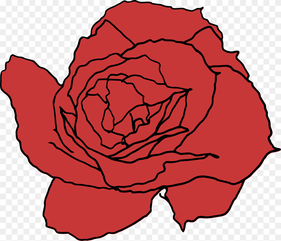 Transparent Red Rose Transparent Drawn Rose Transparent, Flower, Plant, Petal, Carnation Free Png
