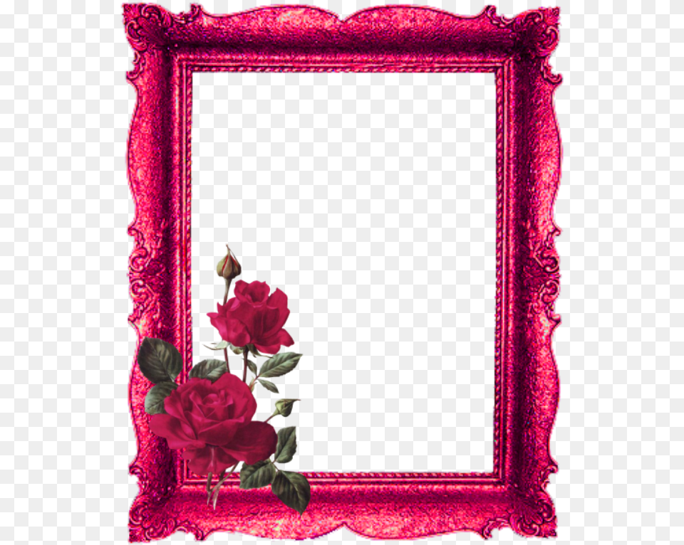 Transparent Red Roses Border Rose Photo Frame Hd, Flower, Plant Free Png Download