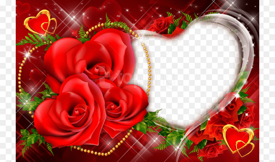 Transparent Red Roses Heart Frame Background Love Photo Frame Hd, Flower, Plant, Rose, Envelope Png