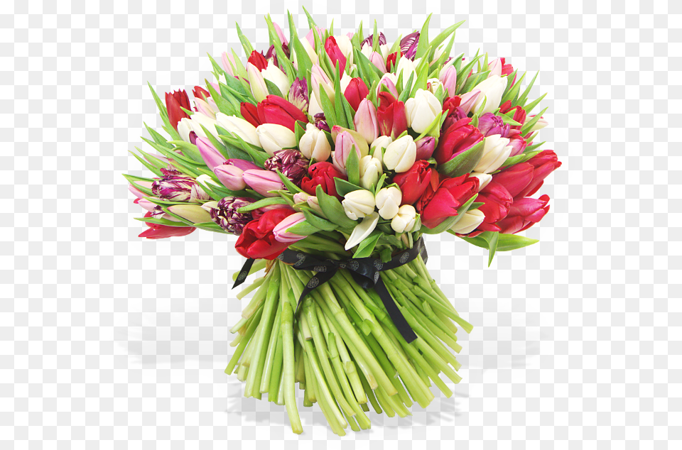 Transparent Red Tulip Bouquet, Flower, Flower Arrangement, Flower Bouquet, Plant Free Png