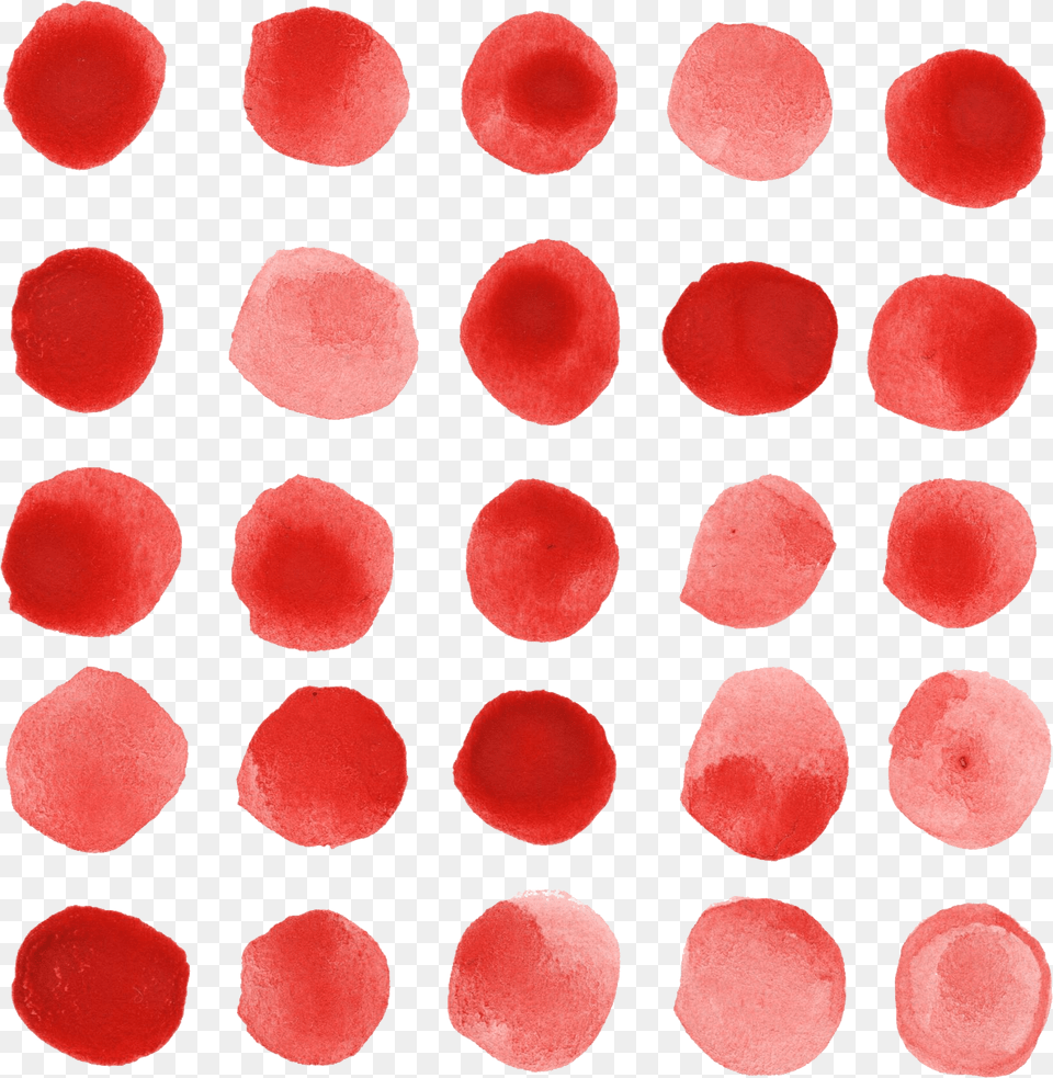 Transparent Red Watercolor Circle, Flower, Petal, Plant, Home Decor Png Image