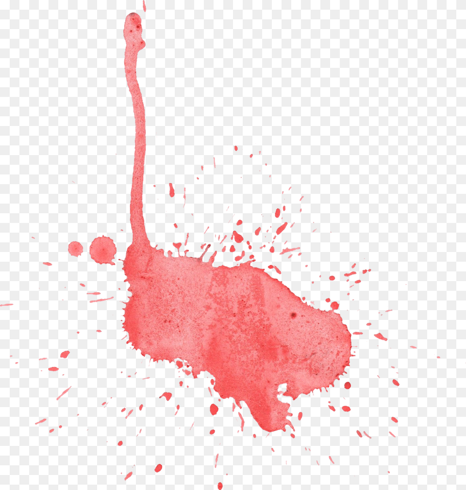 Transparent Red Watercolor Splash, Animal, Bird, Person Png Image