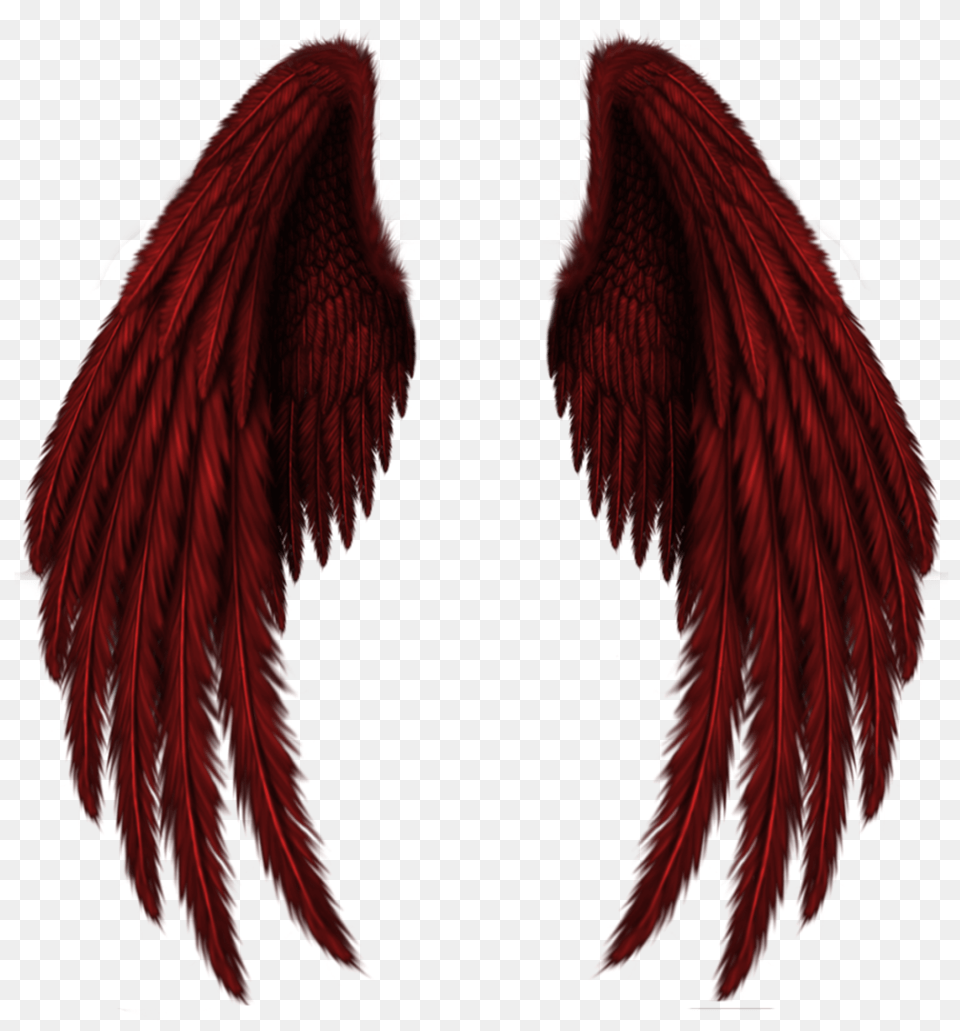Transparent Red Wings Clipart Picture, Adult, Female, Person, Woman Png Image
