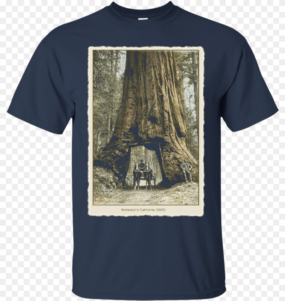 Transparent Redwood Tree T Shirt Gucci, Clothing, Plant, T-shirt, Person Png Image