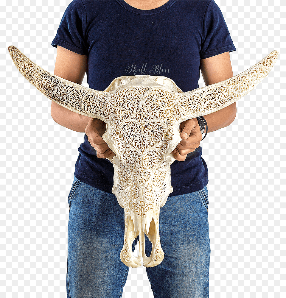 Transparent Reindeer Antlers Headband Crochet, Animal, T-shirt, Pants, Mammal Png Image