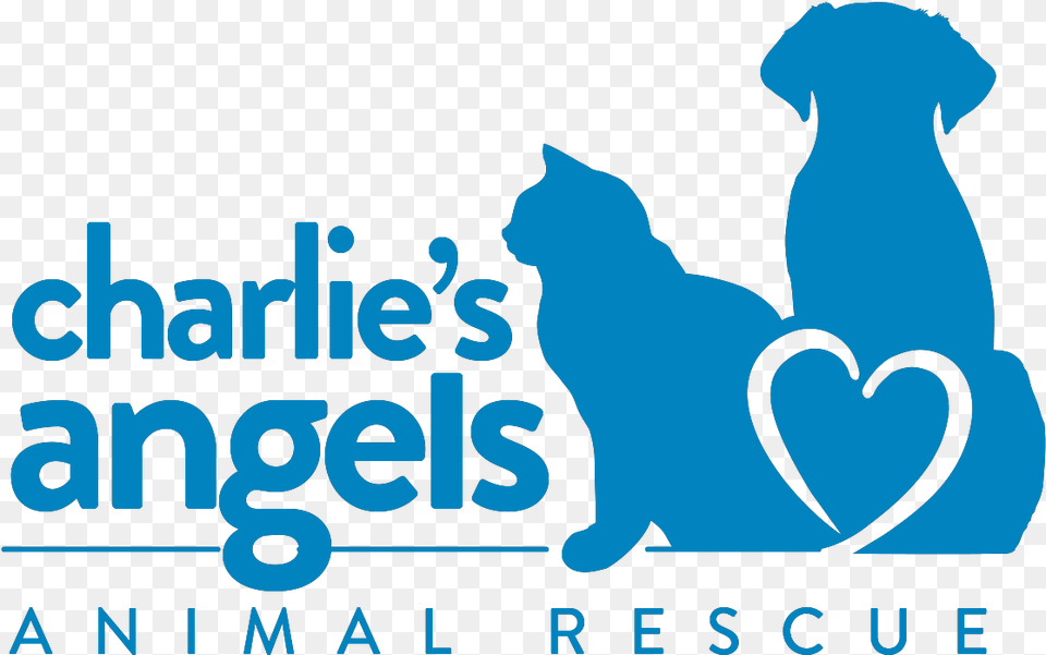 Transparent Rescue Angel Animal Rescue, Person Free Png