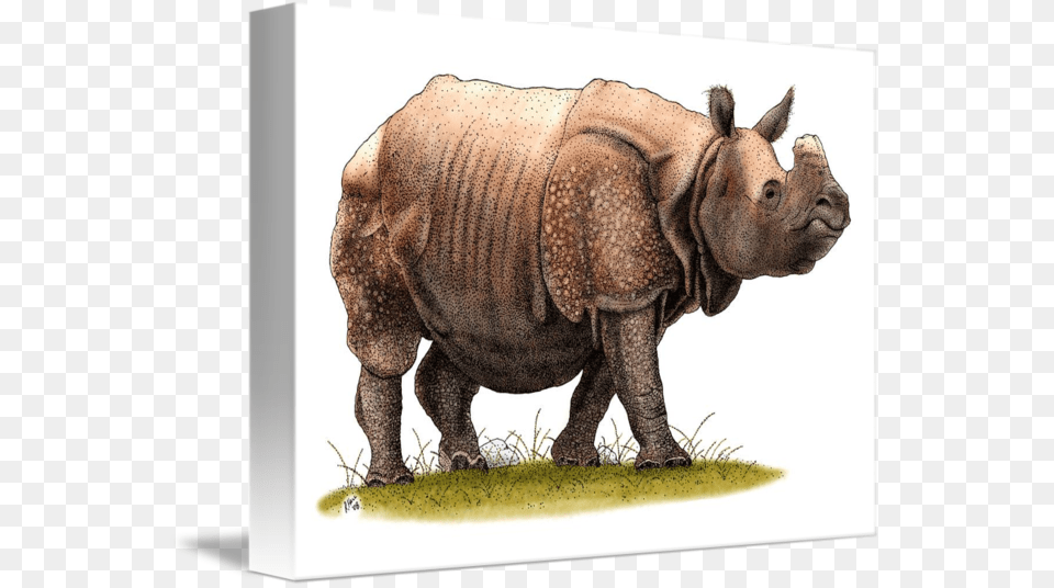 Rhinoceros Clipart Indian Rhinoceros, Animal, Elephant, Mammal, Wildlife Free Transparent Png