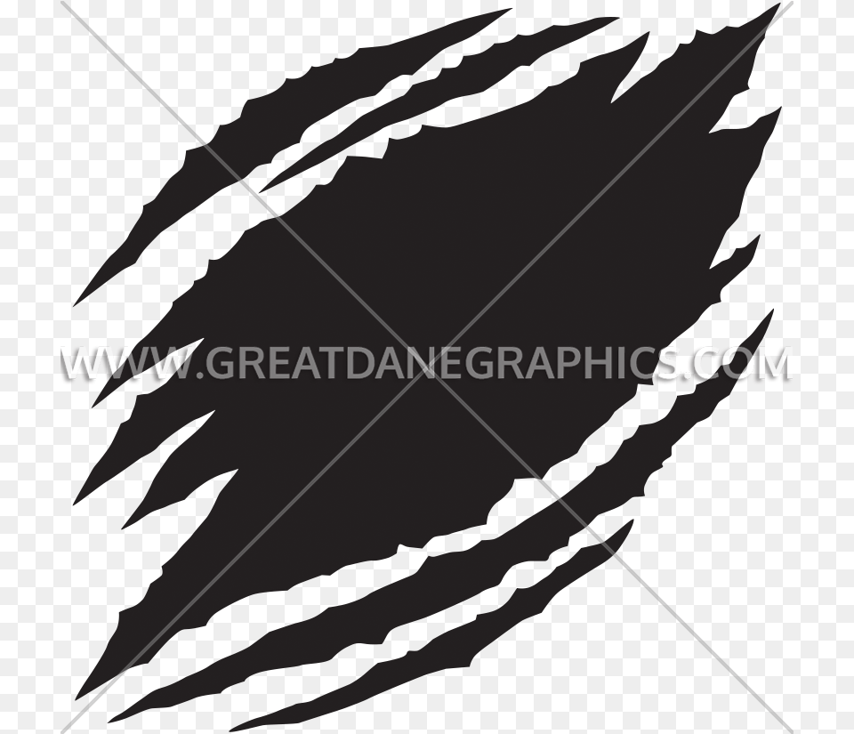 Transparent Ripped, Leaf, Plant, Bow, Weapon Free Png Download