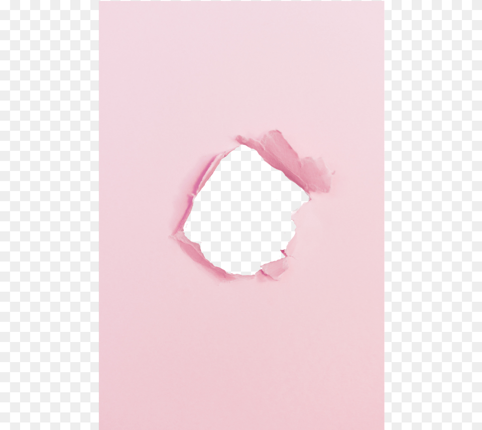 Transparent Ripped Paper Hole Pink Hole Paper, Flower, Plant, Rose Png Image