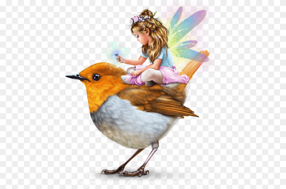 Transparent Robin Bird Little Fairy Girls, Child, Female, Girl, Person Png