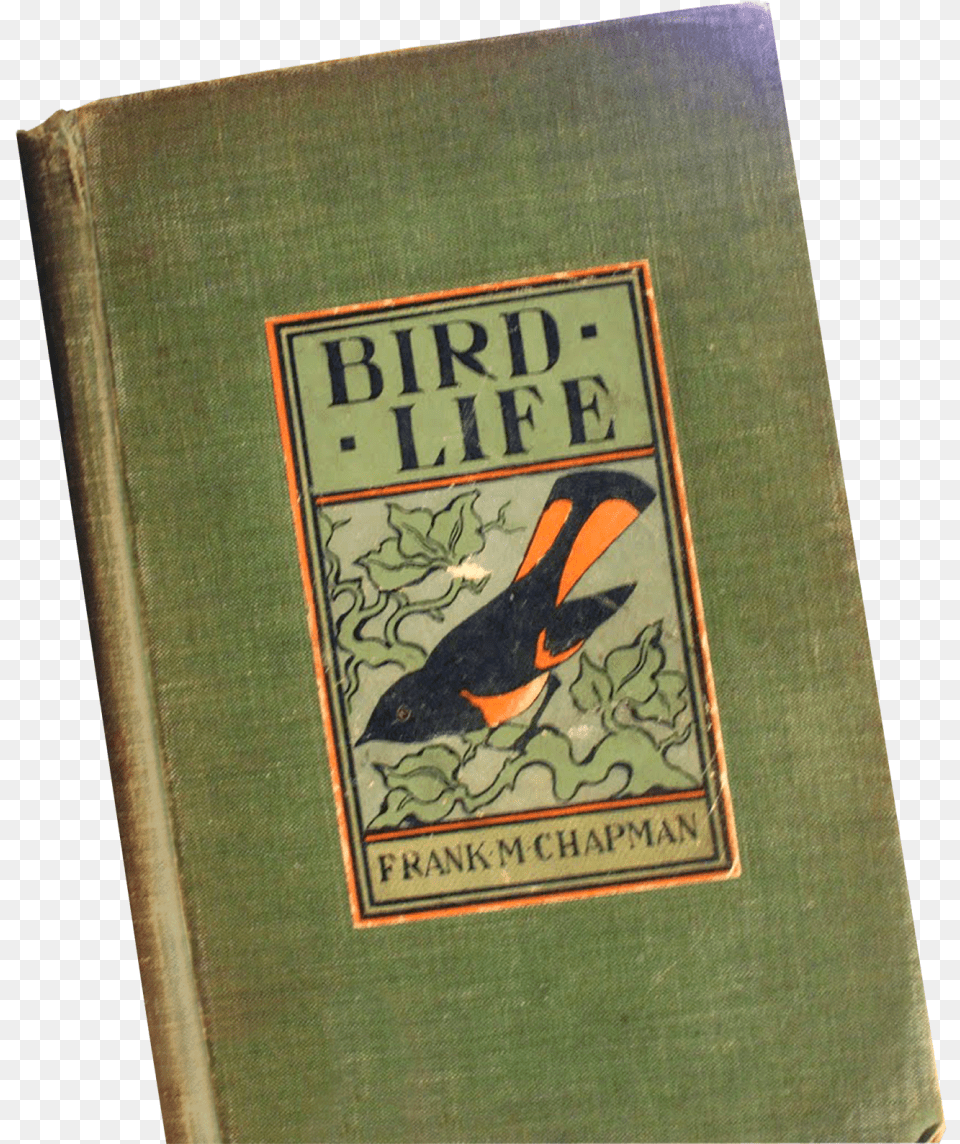 Transparent Robin Bird Robin, Book, Publication, Animal Png Image